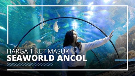 We did not find results for: Inilah Kisaran Harga Tiket Masuk Seaworld Ancol yang Mulai Buka 20 Juni 2020 - Tribun Video