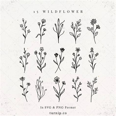 Simple Flower Drawing Simple Flower Tattoo Simple Flowers Wild