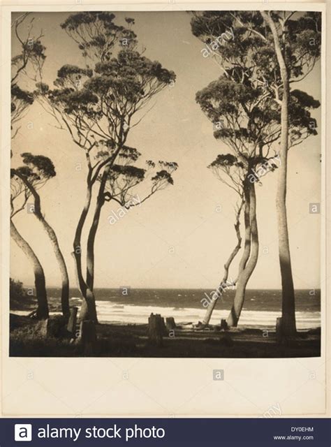 Beach Scene From Camping Trips On Culburra Beach By Max Dupain And