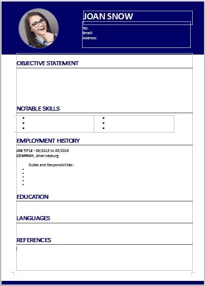 curriculum vitae examples south africa resume  cv writing services