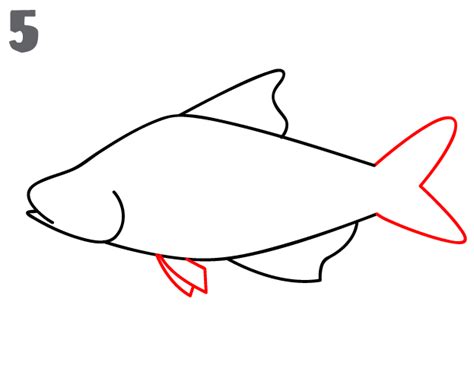How To Draw A Fish Easy Drawing Tutorial