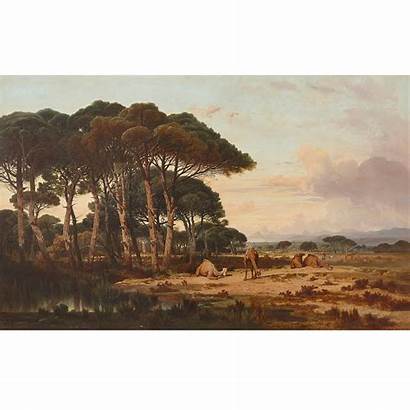 Oil Painting Orientalist Lefebvre Camels Canvas Grazing