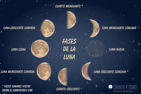 Fases De La Luna Hemisferio Sur Caracteristicas De La Luna Luna