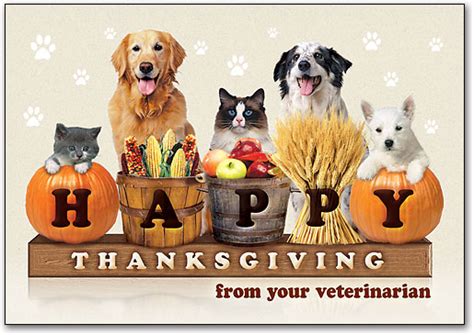 See more of happy pets veterinary clinic and grooming services on facebook. Happy Thanksgiving!! | Willow Animal Hospital