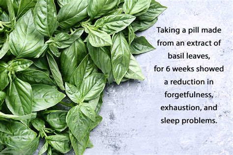 6 Health Benefits Of Basil And Nutritional Facts Emedihealth