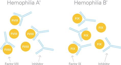 What Are Hemophilia Inhibitors Feiba Anti Inhibitor Coagulant Complex