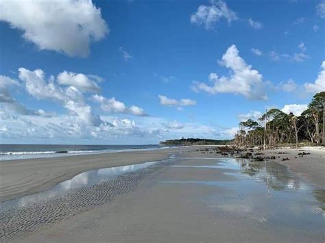 Expect Changes Restrictions When Hunting Island Reopens Explore