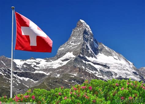Interesting Facts About Switzerland Just Fun Facts