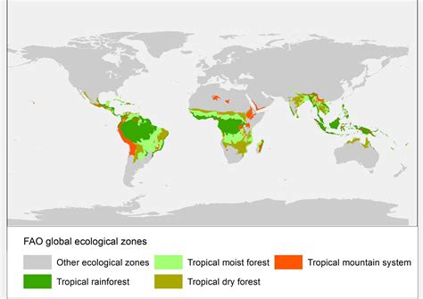 Map Of Tropical Forest Ecological Zones Tropical Forest Tropical Forest