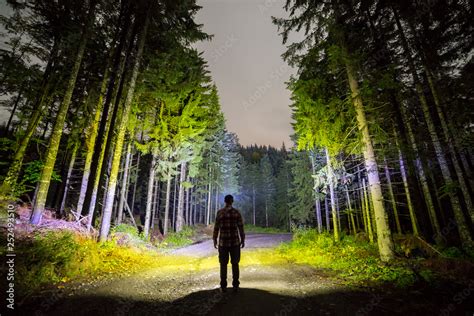 Back View Of Man With Head Flashlight Standing On Forest Ground Road