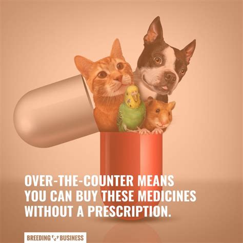 Dog Otc Pain Medications Must Have List Guide And Faq