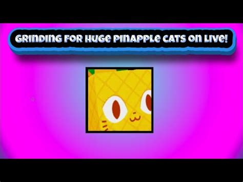 Grinding Summer Event For Huge Pineapple Cats On Accounts Live Pet Simulator X Youtube
