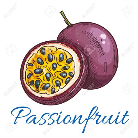 Passion Fruit Clipart 20 Free Cliparts Download Images On Clipground 2023