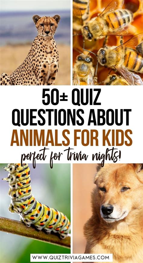 50 Animal Quiz Questions And Answers For Kids Quiz Trivia Games