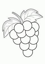 Grapes Coloring Printable Fruits Berries Para Drawing Apple Sketch 4kids Desenhos Easy Draw Colorear Fruit Ausmalbilder Drawings Preschool Colouring Frutas sketch template