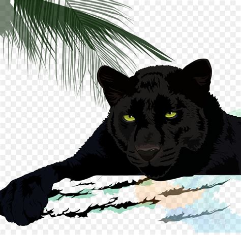 Good pet free fire names. Black panther Cougar Leopard Jaguar Cheetah - Black Puma ...