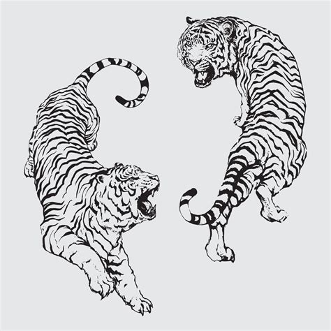 Two Tigers Vector 5659623 Vector Art At Vecteezy