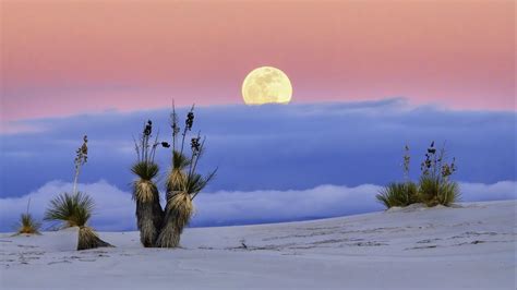 White Sands National Park New Mexico Image Abyss
