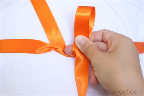 How To Tie A Beautiful Ribbon Bow One Dog Woof