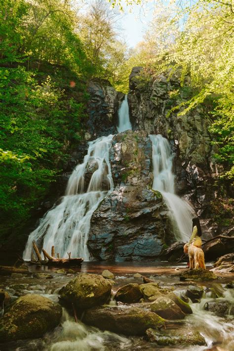 Best Waterfall Hikes In Shenandoah National Park With Sunshine Sol