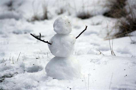 Cómo hacer el muñeco de nieve perfecto estos son los trucos que nos