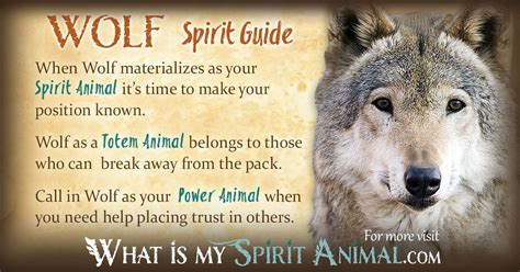 Wolf Symbolism And Meaning Spirit Animal Totem Power