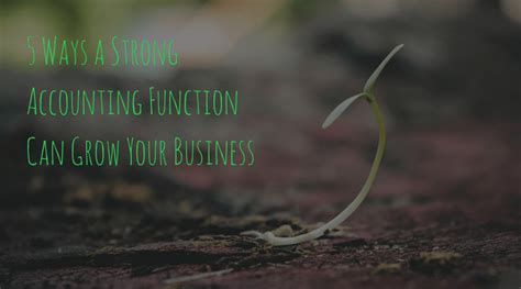 5 Ways A Strong Accounting Function Can Grow Your Business