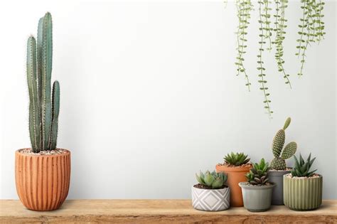 Zoom Virtual Background Minimalist Cactus Shelf With White Etsy
