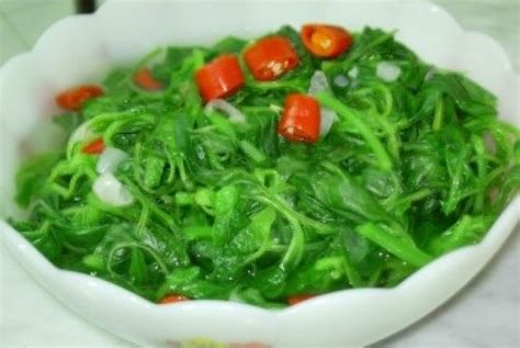 Sayuran hijau, ketumbar masakan india, sayur herb vindaloo, sayur. Konsumsi Sayuran Hijau Cegah Glaukoma | Republika Online