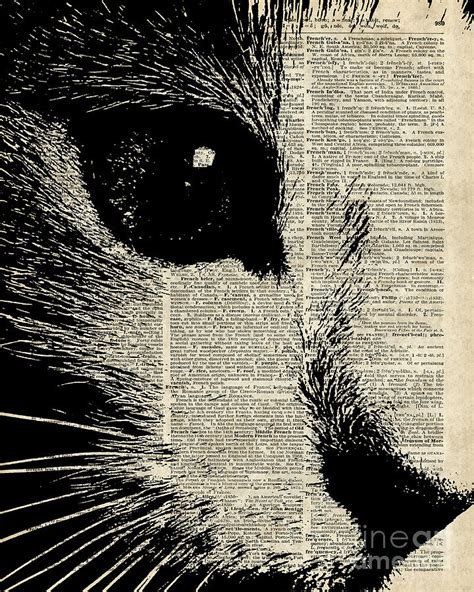 Cute Cat Illustration Over Old Dictionary Page Digital Art By Anna W