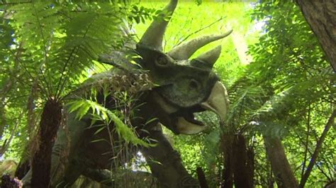 Bats Set Up Home Inside Dinosaur At Devon Theme Park Bbc News
