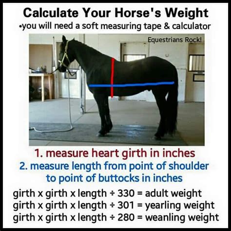 After addressing worms, teeth and health, the most important feeding step when you want a horse to gain weight is to provide as much pasture or grass/meadow hay as the horse can eat. Calculate horse weight | Horse weight, Horses, Horse life
