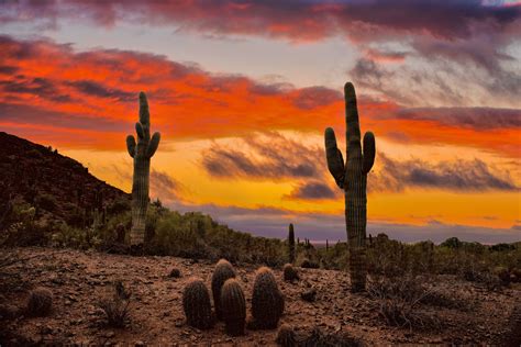 Desert Sunset Phoenix Az Desert Sunset Photography Desert Sunset