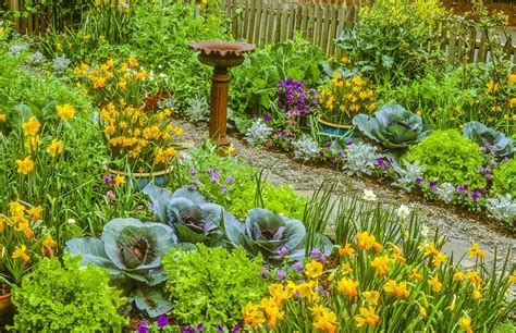 Master Gardener Add Vegetables To Your Flower Beds For Edible