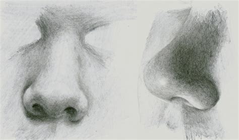 Understand the basic shapes of a nose, apply the proper shading techniques and become a pro at drawing noses. How to Draw Noses