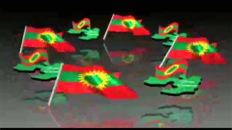 Adda Bilisummaa Oromoo Abo Youtube