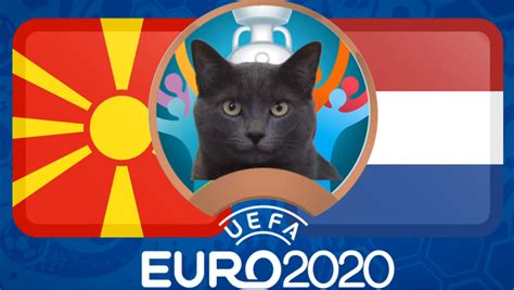 Đan mạch là một tập thể gắn kết, tràn đầy quyết tâm và ý chí chiến đấu. Mèo tiên tri dự đoán CH Séc vs Anh - EURO 2021: Mèo Cass ...