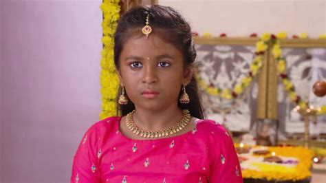Watch Karthika Deepam Tv Serial Episode 353 Hima Fears Mounitha Full