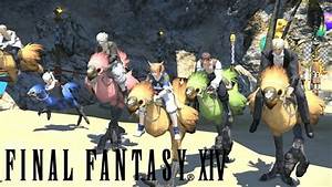 Ff14 How To Change Chocobo Color