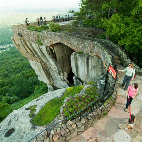 Maybe you would like to learn more about one of these? Lookout Mountain | Travel in 2019 | Tennessee vacation ...
