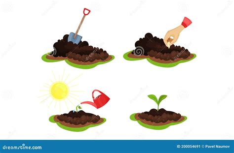 Planting A Seed Clip Art