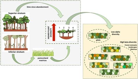 Plant Diversity Conservation In Highly Deforested Landscapes Of The