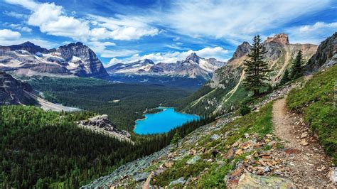 Kasinot kolumbian liikehotellit luokan kolumbia lomakohteet. Kanada, Kolumbia Brytyjska, Park Narodowy Yoho, Jezioro O Hara, Góry Canadian Rockies, Las ...
