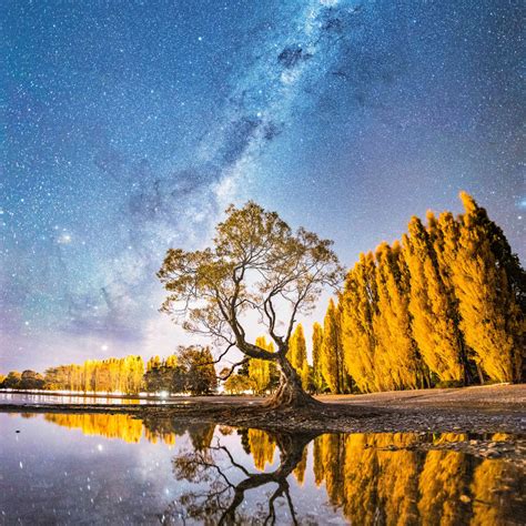 Milky Way Over Wanaka Tree Wall Art Photography