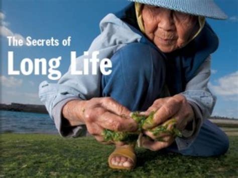 Nine Secrets Of The Worlds Longest Living People Nexus Newsfeed
