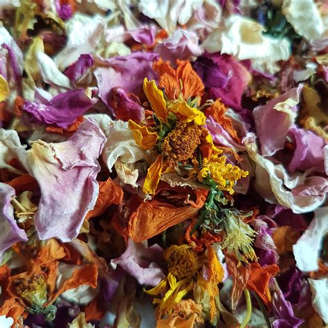 Our selection of dehydrated edible flowers is superior and diversified. Dried Mixed Edible Flower - Organica Floret