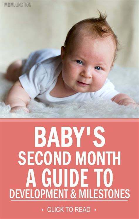 2 Month Old Baby Developmental Milestones Baby Developmental