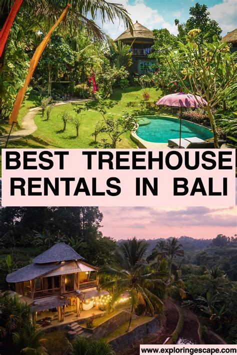the best treehouse rentals in bali exploring escape