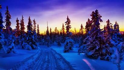 Winter Forest Snow Wallpapers Sunset Road Background