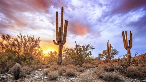 Arizona Desert Hd Wallpapers Top Free Arizona Desert Hd Backgrounds Images